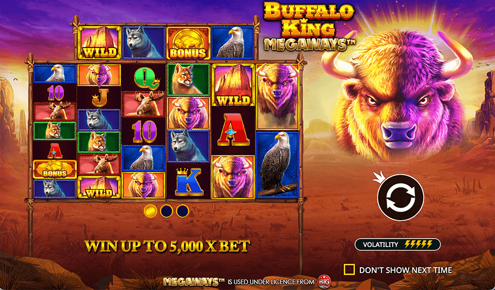Buffalo King Megaways Key Details