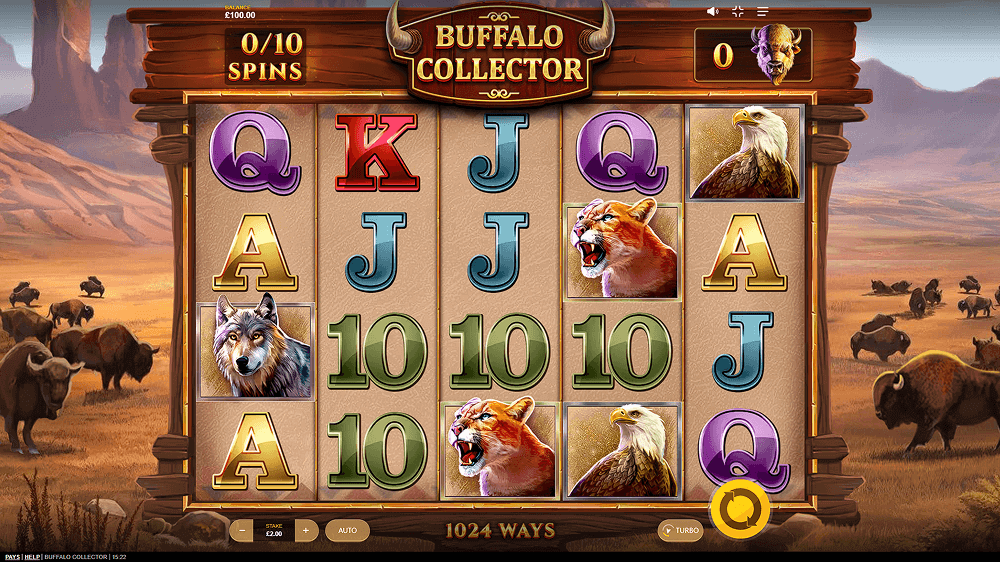 Buffalo Collector Rules